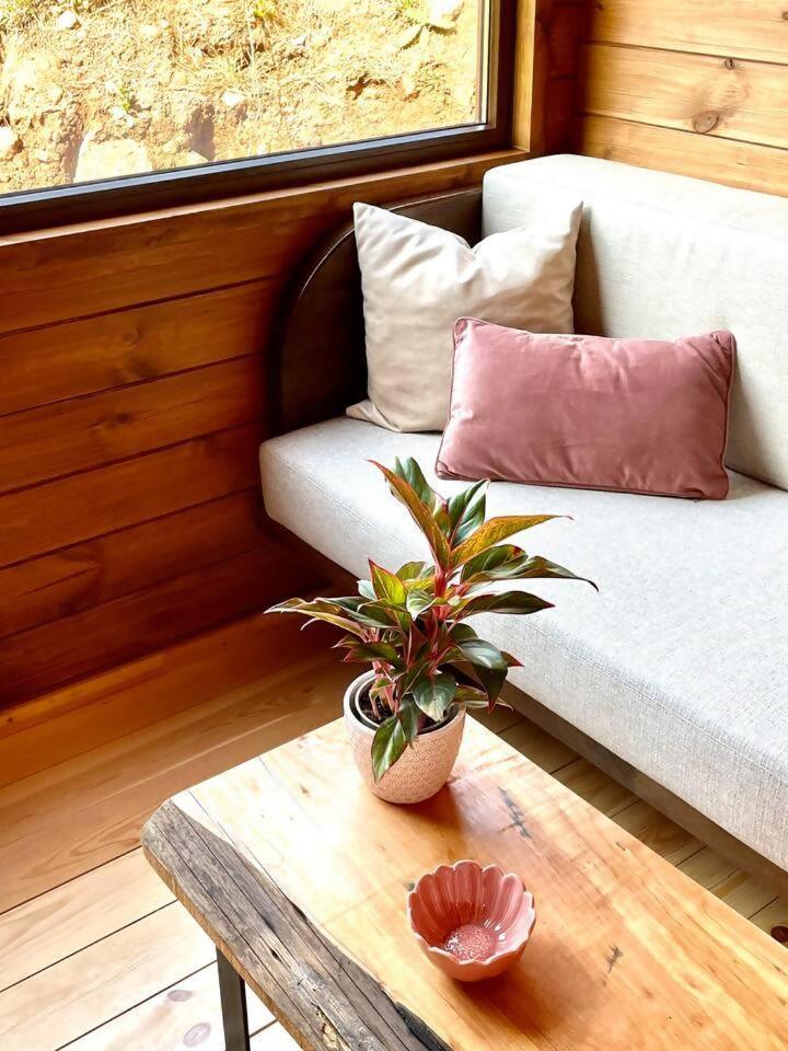 Hotel Mountain Eco Shelter 7 Funchal  Exterior foto